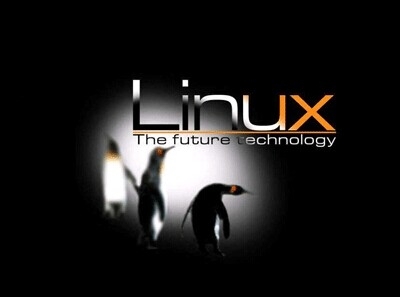 Linux DNS域名服务入门